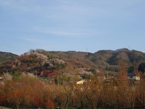 20160412-197.jpg