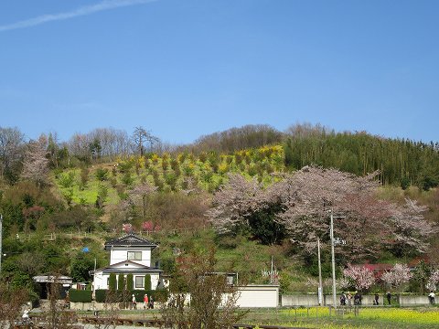 20160412-154.jpg