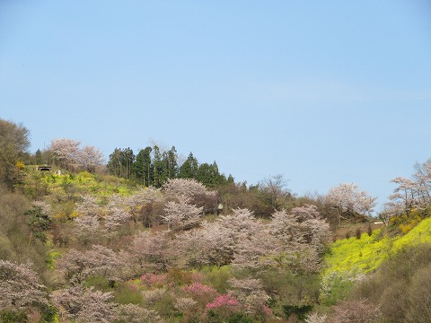 20160412-196.jpg