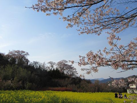 20160412-188.jpg
