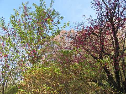 20160412-168.jpg