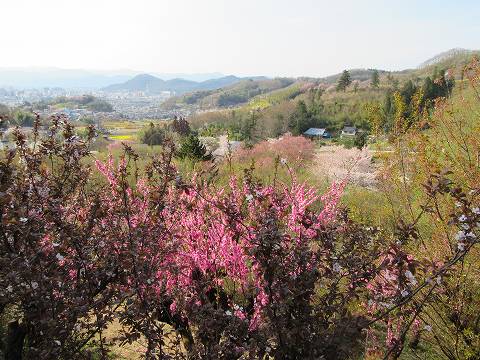 20160412-173.jpg