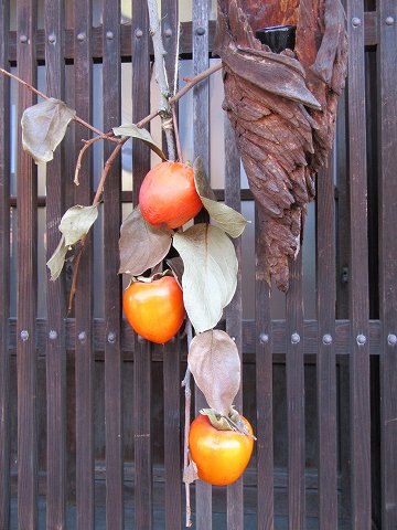 20161113-018.jpg