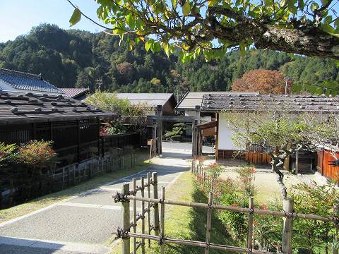 20161113-044.jpg